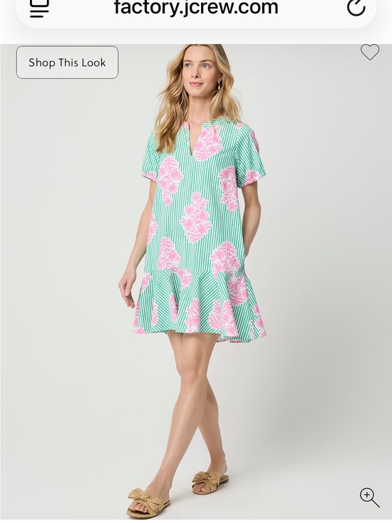 J. Crew Dresses & Skirts - NWT J. Crew Factory Green & Pink Floral Stripe dress
